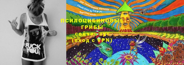 ГАЛЛЮЦИНОГЕННЫЕ ГРИБЫ Нефтегорск