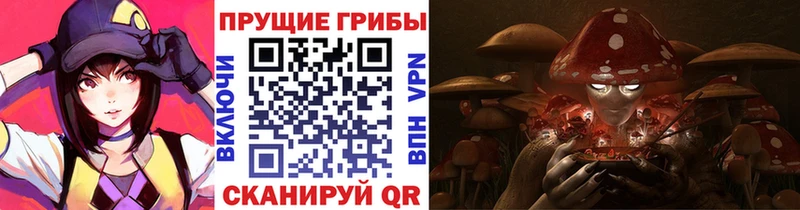 Галлюциногенные грибы Psilocybine cubensis  Купить закладки  Сольцы 